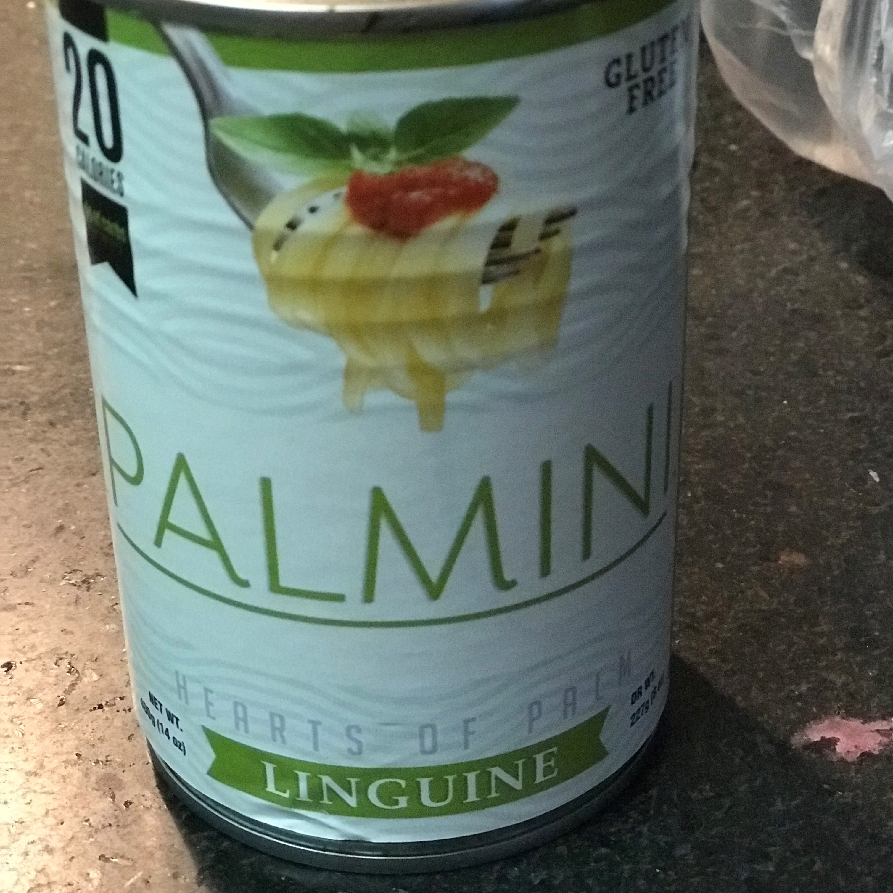 Linguini Palmini