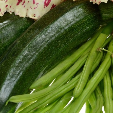 Garden vegetable soup