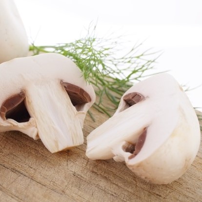 Merle’s mushroom soup